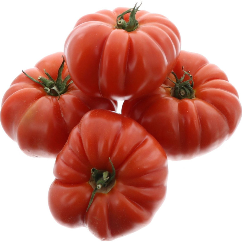TOMATE MARMANDE 3,5KG